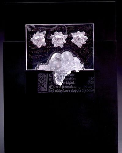 Still-life-still-alive-XV-85-x-63-x-25-cm-11
