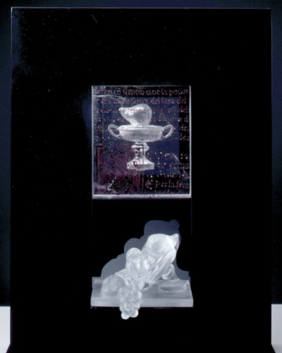 Still-life-still-alive-XVII-83-x-62-x-24-cm-11