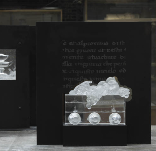 Still-life-still-alive-X-75-x-55-x-20-cm-11