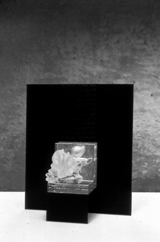 Still-life-still-alive-VIII-65x55x20-11