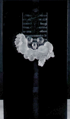 Still-life-still-alive-XXIV-75-x-45-x-20-cm-11