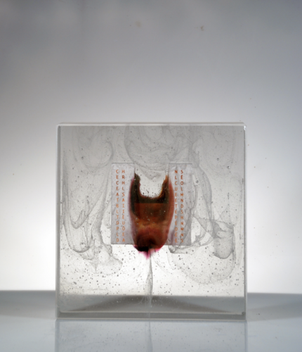 FLUX-ET-FIXE-XXXXVI-30X30X9cm
