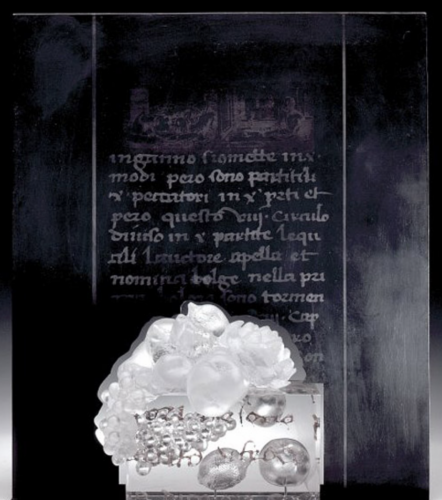 Still-life-still-alive-II-70-x-60-x-20-cm-11