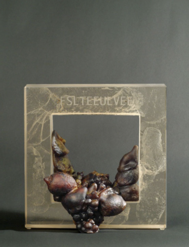 Still-life-still-alive-XII-29x29x10