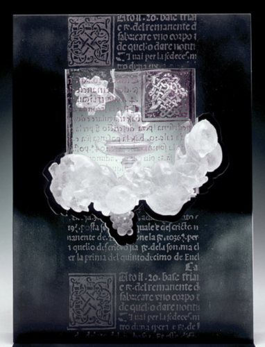 Still-life-still-alive-XII-75-x-55-x-25-cm-11