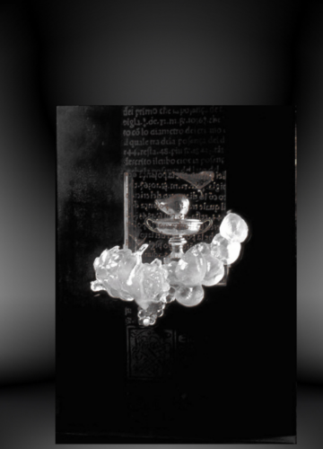 Still-life-still-alive-XIII-55-x-20-x-70-cm-11