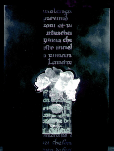 Still-life-still-alive-XIV-85-x-63-x-28-cm-11