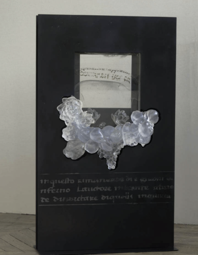 Still-life-still-alive-XXV-110-x-65-x-25-cm-11
